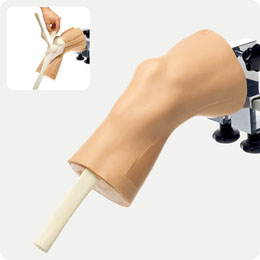 膝関節鏡トレーニングモデル